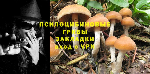 амф Верея