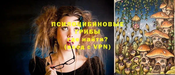 PSILOCYBIN Верхний Тагил