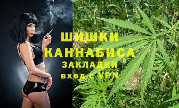 амф Верея