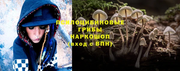 PSILOCYBIN Верхний Тагил