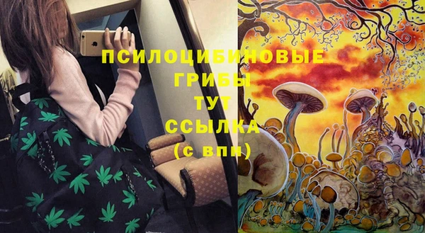 амф Верея