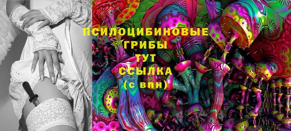 амф Верея