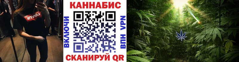 Бошки марихуана White Widow  Новороссийск 